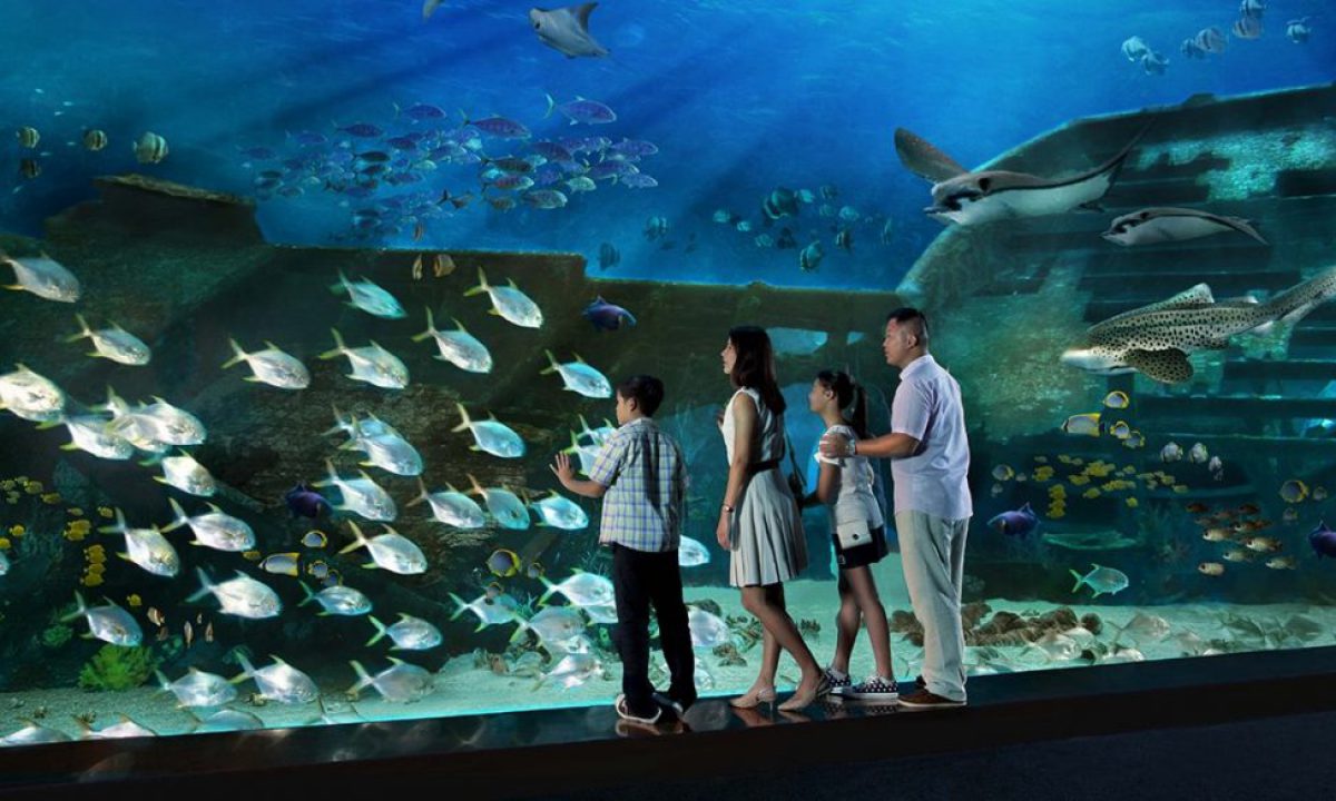 S E A Aquarium Singapore Tickets Offers Visitor Info More