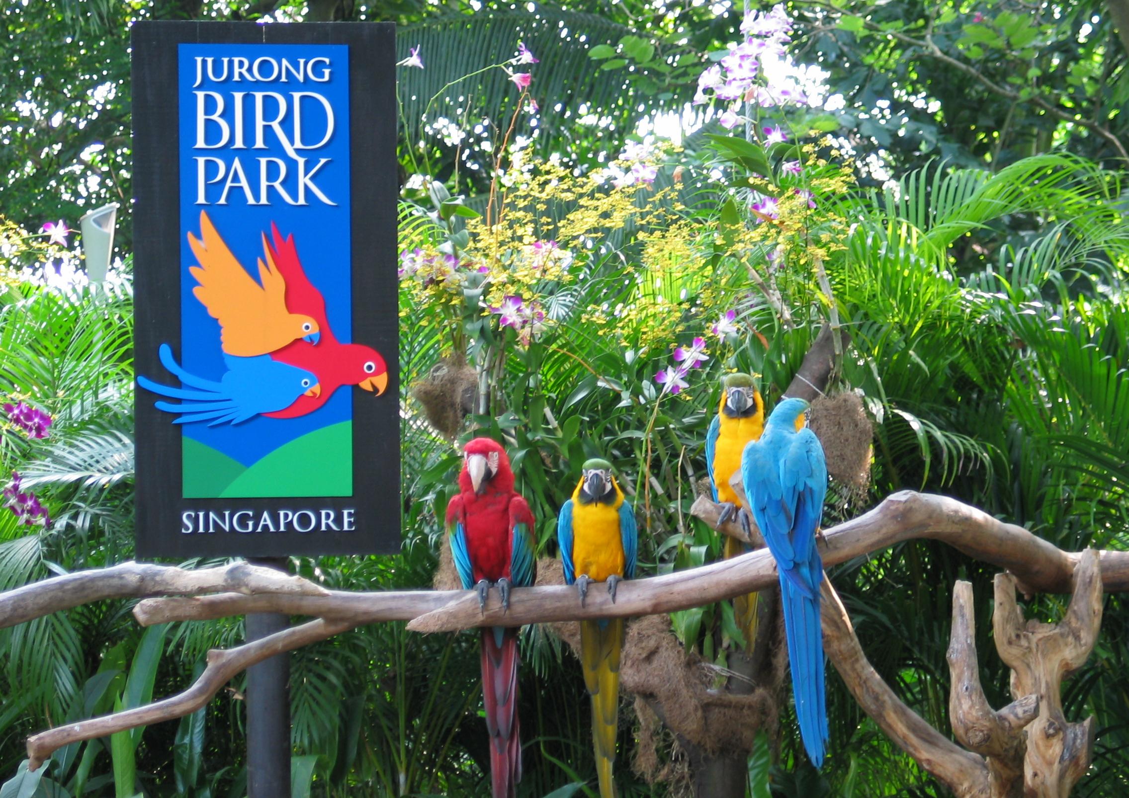 Jurong Bird Park Singapore Tickets Info Tips All You 