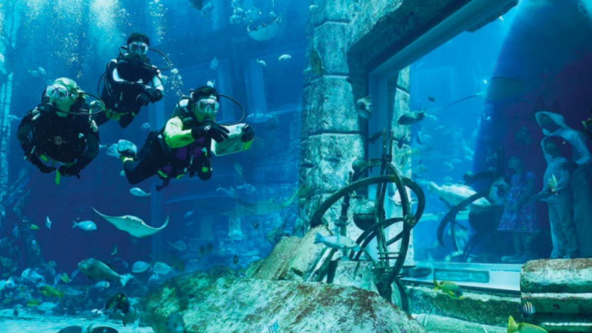 Lost Chambers Aquarium Dubai Tickets Tips Practical Info